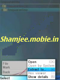 Tm1